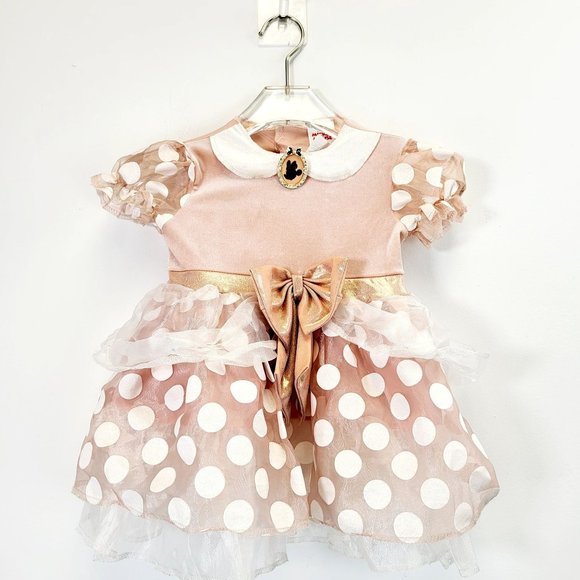 DISNEY X Minnie Mickey Mouse Little Girl Pink Dress 2T Toddler SMALL Costume